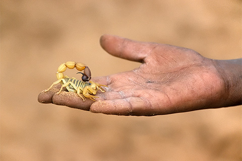 Bilder Namibia Afrika